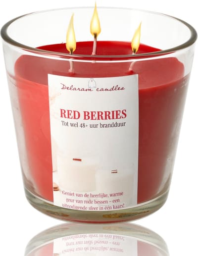 Geurkaars in glas Red Berries rode bessen - Grote luxe Buitenkaars - 48 uur brandduur - Drie lonten scented candle