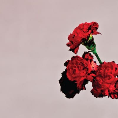 Love In The Future -10th Anniversary- - John Legend