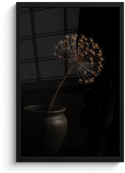 Poster in lijst - Fotolijst 40x60 cm - Posters - Bol - Gedroogd - Vaas - Zwart - Posterlijst zwart - Decoratie - Wanddecoratie woonkamer - Muurdecoratie slaapkamer