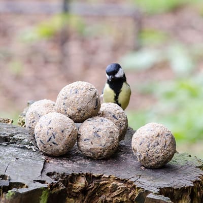 CJ Wildlife - 6x 100g Vetbollen Original - Zonder netje - Extra groot - Hoog vetgehalte