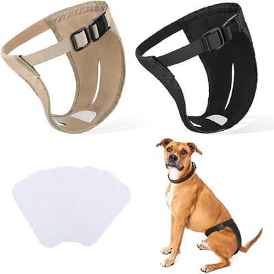 Hondenbroek voor Vrouwelijke Honden - 2 Stuks, Aanpasbare Incontinentiebroekjes met 6 Sanitaire Maandverbanden voor Maandelijkse Bloedingen en Puppy’s (XL)