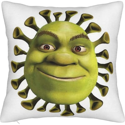 Shrek's Lach Memes Vierkante Kussenslopen Polyester Bed Auto Cartoon Kussenhoes Creatieve Decoratieve Kussensloop 40*40 50x50cm
