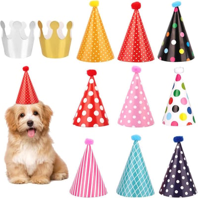 Allecto Plus - Huisdiermutsenset met 11 St Kleurrijke Kattenpompons - Verstelbaar Elastisch Koord - Mini-Feestgunst - Huisdierthema - Kittens Honden Konijnen - Verjaardagen Babyshowers - Foto-Rekwisieten