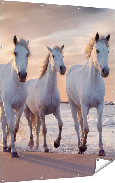 Gards Tuinposter Witte Paarden op het Strand bij Water - 120x160 cm - Tuindoek - Tuindecoratie - Wanddecoratie buiten - Tuinschilderij