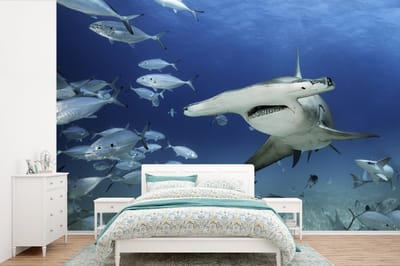 Behang - Fotobehang Hamerhaai zwemt tussen de vissen - Breedte 330 cm x hoogte 220 cm
