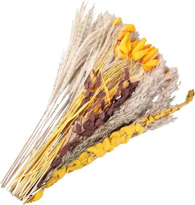 Gedroogde bloemen - Natuurlijk boeket - Woondecoratie - 100% natuurlijk - 64 stuks - Natuurlijk