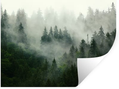 Muurstickers - Sticker Folie - Bos - Mist - Bomen - Natuur - 40x30 cm - Plakfolie - Muurstickers Kinderkamer - Zelfklevend Behang - Zelfklevend behangpapier - Stickerfolie