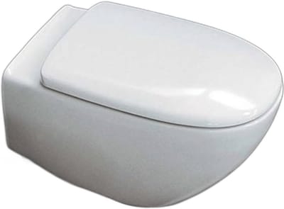 Toiletbril Wit Thermoplast met Roestvrijstalen Scharnieren - Normaal of Zacht Sluitend