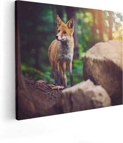 Artaza Canvas Schilderij Vos In Bos - 50x40 cm - Wanddecoratie Dieren - Muurdecoratie Woonkamer - Kamer Accessoires