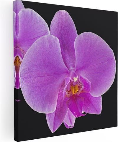 Artaza Canvas Schilderij Orchidee - 80x80 cm - Wanddecoratie Bloemen - Muurdecoratie Bloem - Schilderijen Op Canvas Roze