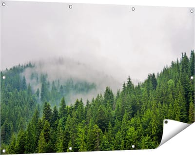 Gards Tuinposter Groen Bos met Bomen tijdens de Mist - 120x80 cm - Tuindoek - Tuindecoratie - Wanddecoratie buiten - Tuinschilderij