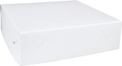 Zwanenhals/ verzenddoos | karton | 32x32x9cm | duplex | wit | 50 stuks