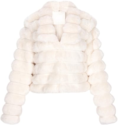 taddy jacket
