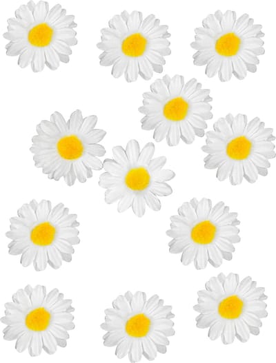 HOBI - 12 Daisy tafeldecoraties 3,5 cm