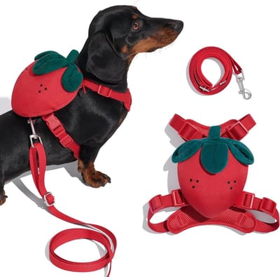 Huisdier Harnas - Hond Kat Tuigje - Veilig Wandelen - Y-vormig Ontwerp - XS Borst 42-54cm - Rood