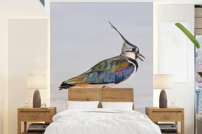 Behang - Fotobehang Vogel - Dieren - Zand - Kievit - Breedte 165 cm x hoogte 220 cm