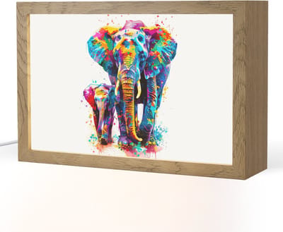Nachtlampje 30x20 cm - Kinder lampje - Olifanten - Dieren - Verf - Kleurrijk - Tafellamp kinderkamer - Slaapkamer lamp - Bedlamp kinderen - Kinderlampje stopcontact - Wandlamp babykamer - Nachtlampjes