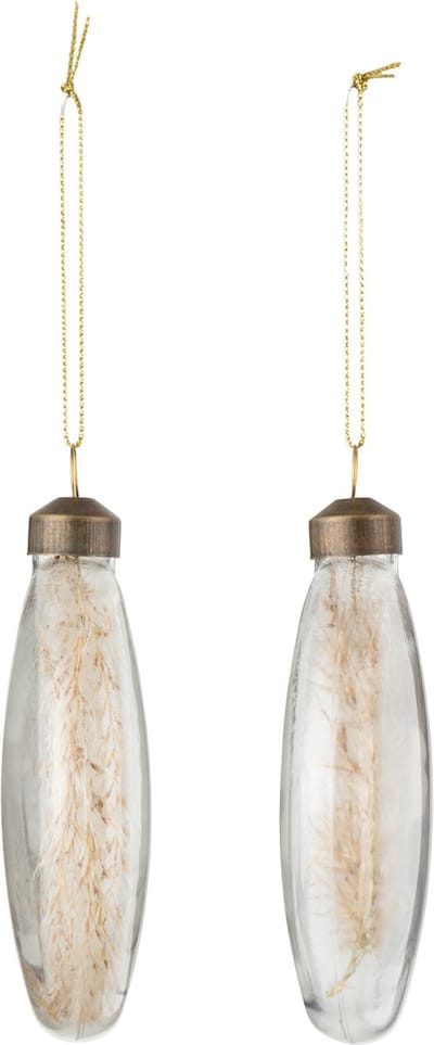 J-Line kerstbal Gedroogde Pampas - glas - transparant - medium - doos van 4