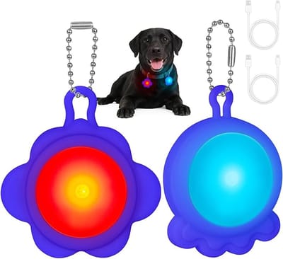Lichtgevende Hanger voor Honden, LED-Knipperlicht voor Hondenhalsband, Ideaal voor Nachtwandelingen, Hardlopen, Kamperen, Fietsen en Schooltassen（Blauw）