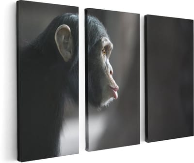 Artaza Canvas Schilderij Drieluik Verbaasde Aap Vanaf De Zijkant - 120x80 cm - Wanddecoratie Woonkamer - Schilderijen - Muurdecoratie