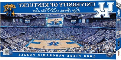Basketbal Stadion Puzzel - Panorama Puzzel Sport Puzzel - Ontspannen Tijdverdrijf - Officieel Gelicentieerd Product - 1000 Stukjes - Niet Gespecificeerd