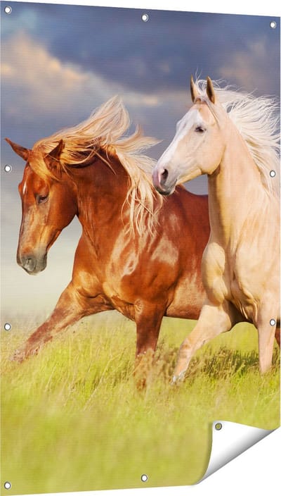 Gards Tuinposter Bruin en Wit Paard in de Wei - 80x120 cm - Tuindoek - Tuindecoratie - Wanddecoratie buiten - Tuinschilderij
