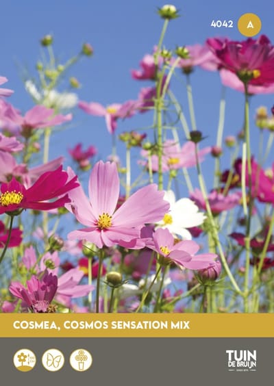 Cosmos Sensation Bloemzaden – Bloemen om Zelf te Zaaien – Zomerbloemen voor Border of Balkon – Ca. 1 Gram - Tuin de Bruijn® zaden