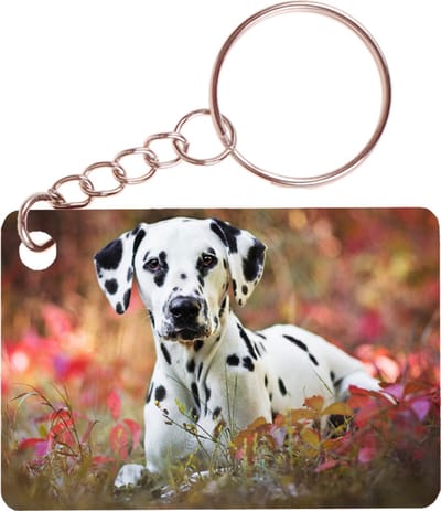 Sleutelhanger 6x4cm - Dalmatier Liggend