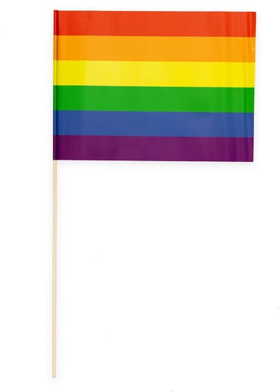 10 Papieren zwaai vlaggen 20 x 30 centimter Regenboog