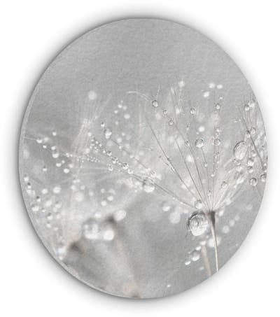 Akoestisch wandpaneel rond 30x30 cm - Vilt schilderij Paardenbloem - Waterdruppels - Stilleven - Modern - Ronde akoestische panelen - Geluidsdempende wanddecoratie - Geluidsisolatie wandcirkel - Muurdecoratie geluidspanelen