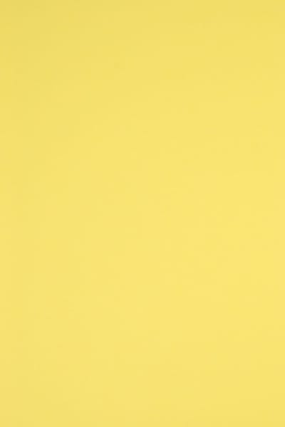 Netuno - geel glad gekleurd papier - A4 - 21 x 29,7 cm - 20 vellen - 230 gram - Rainbow Yellow R16