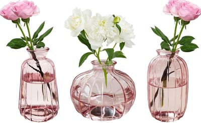 Set van 3 Glazen Bloemenvazen - Transparante Decoratie voor Tafel, Bruiloft, Verjaardag en Moederdag