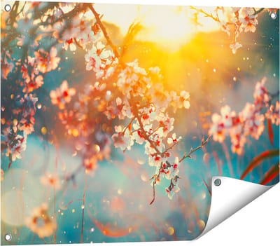 Gards Tuinposter Bloesemboom tijdens Zonsondergang - Bloem - 80x60 cm - Tuindoek - Tuindecoratie - Wanddecoratie buiten - Tuinschilderij