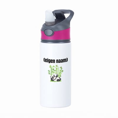 Hacebo® - liggende panda en bamboe met eigen naam waterfles met rietje roze - Panda - panda liefhebbers - iemand die houdt van panda's - verjaardag - cadeau - kado - water fles - 650ML