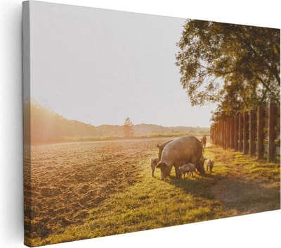 Artaza Canvas Schilderij Dieren - 30x20 cm - Klein - Wanddecoratie Landschap - Muurdecoratie Varken - Schilderijen Op Canvas