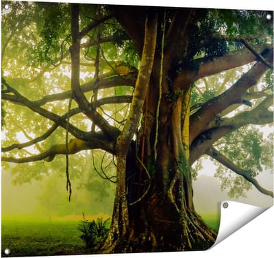Gards Tuinposter Grote Levensboom met Veel Takken - 100x80 cm - Tuindoek - Tuindecoratie - Wanddecoratie buiten - Tuinschilderij