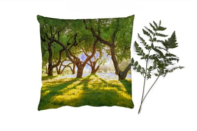 Sierkussens - Kussentjes Woonkamer - 40x40 cm - Bomen - Natuur - Zon