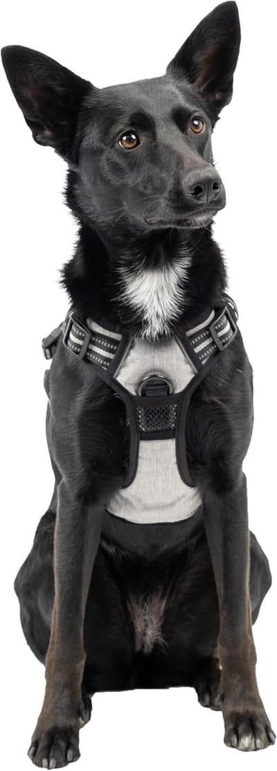 Famanu – Hondentuig voor middelgrote honden - verstelbaar anti-trek harnas met twee haken voor optimale controle - ademend en reflecterend ontwerp - maat M - grijs