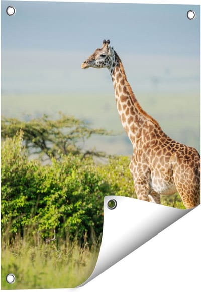 Gards Tuinposter Giraffe in het Wild tussen de Struiken - 40x50 cm - Tuindoek - Tuindecoratie - Wanddecoratie buiten - Tuinschilderij