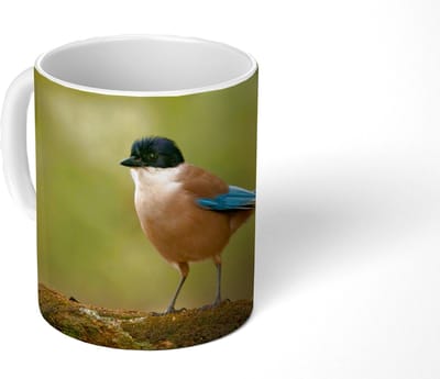 Mok - Koffiemok - Ekster - Vogel - Mos - Mokken - 350 ML - Beker - Koffiemokken - Theemok