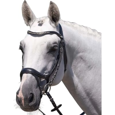 Paardentuig Premier Equine Palazzo