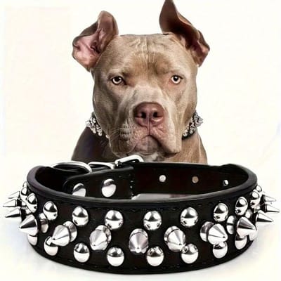 1 stuks Studded PU Lederen Huisdierhalsband, Verstelbaar Voor Kleine-Middelgrote Honden, Veilig Voor Buitengebruik S zwart