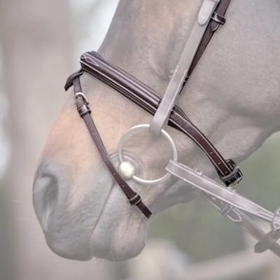 Combinatie paardenneusriem Jump'In Wednesday