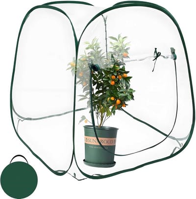 Pop-up kas - Mini kas - Planten beschermen - Oprolbare ritsdeur - 99 x 99 x 99 cm - Transparant