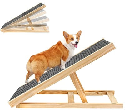 HomeGoodies Honden Oploop – Opvouwbare Hondenhelling - Verstelbare Antislip Trap - Voor Auto, Bank & Bed – Dieren tot 50 kg