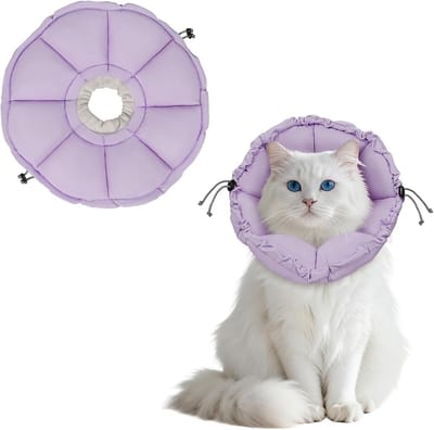 Twee-in-één halsband voor katten in paars - Verstelbaar, comfortabel en veilig voor jouw huisdier