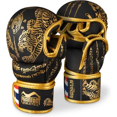Thaise Trainingsboxhandschoenen Phantom Athletics