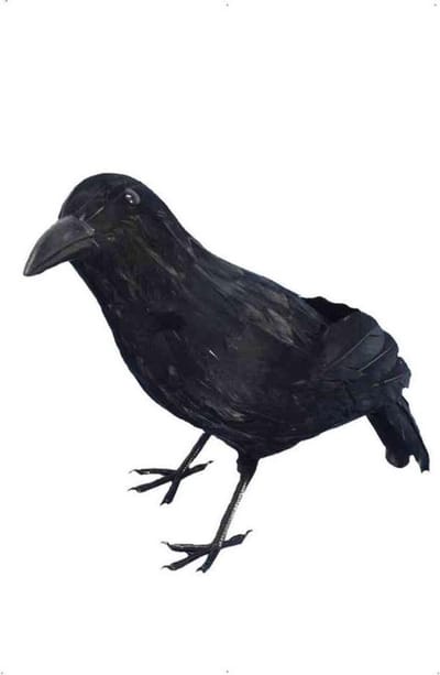 Dressing Up & Costumes | Costumes - Halloween - Crow