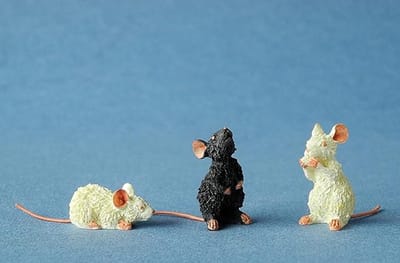 3 kleine muisjes - Gekke kattencollectie - Dubout Collectie - 2,5 cm