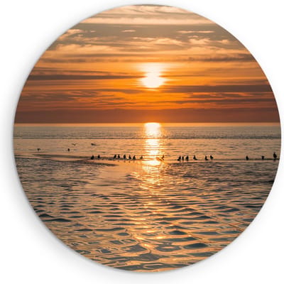 Saammp Muurcirkel Hout - Vogels op een zandbank - Strand - Landschap - Natuur - Ø 90 - Wandcirkel - Wanddecoratie Cirkel - Muurdecoratie Woonkamer - Slaapkamer decoratie - Rond Schilderij